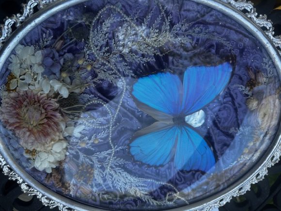 Blue Morpho Silver frame - Image 4