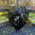 Swamp Witch
