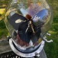 Dragon's breath - Image 4