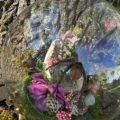 Raccoon jaw, Tarantula, Rainbow clear quartz sphere - Image 2