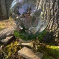 Raccoon jaw, Tarantula, Rainbow clear quartz sphere - Image 4