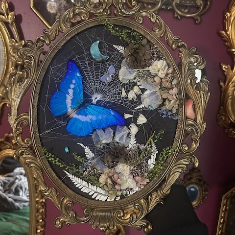 Morpho Helena, Orb weaver spider web, labradorite moon