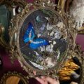 Morpho Helena, Orb weaver spider web, labradorite moon - Image 2