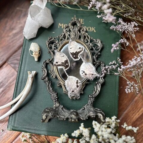 Mother of Pearl Earwings
