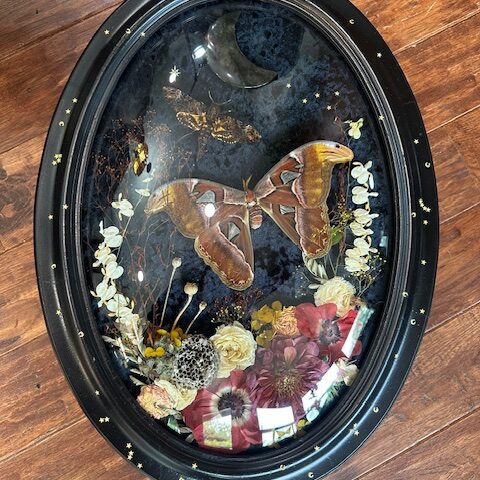 Starry night - Atlas Moth and Deaths head moth