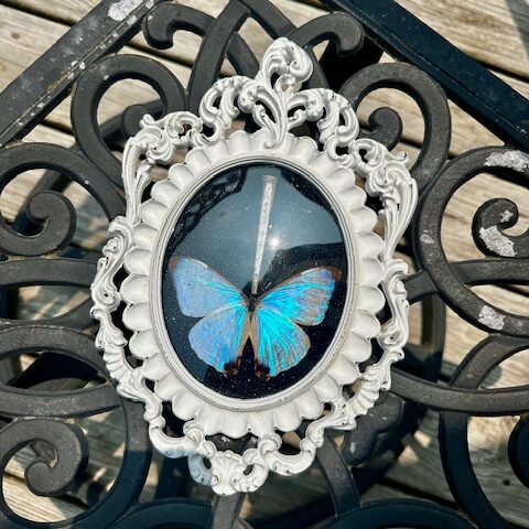 Morpho Sulkowski & Coffin Nail