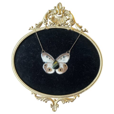 Owl butterfly tigers eye cabochon