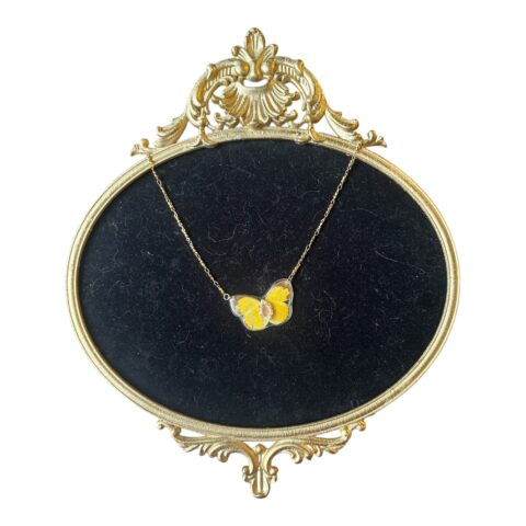Black tipped sulfur with a cameo