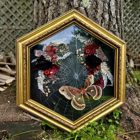 Cecropia, spider web, rainbow amethyst